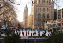 Accessibility Advocacy: Skating Venues Lead Inclusive Tourism Innovation