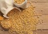 US Soybean Market to See Boost from China’s 2025-26 Import Rise