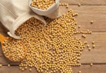 US Soybean Market to See Boost from China’s 2025-26 Import Rise