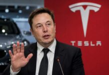 Tesla China Operations Remain Integrated, Musk Dismisses Separation Claims