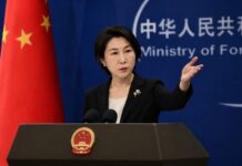 China Calls for Economic Respect Following New Zealand Diplomatic Comments