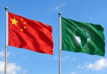 China Commits to Enhanced Economic and Business Ties with African Nations